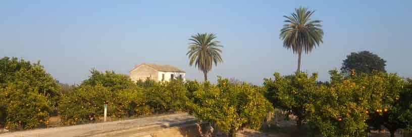 Algemesí, Valencia / ALC