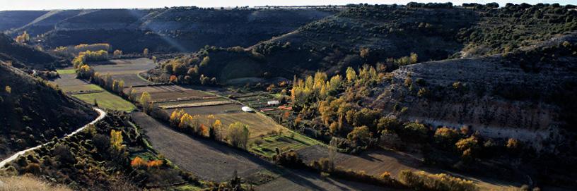 Almadrones,Guadalajara