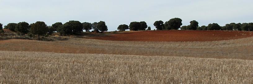 Arauzo de Torre, Burgos.