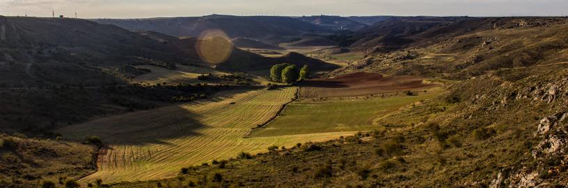 Arbujuelo, Soria.