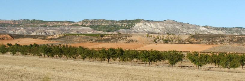 Ateca, Zaragoza.
