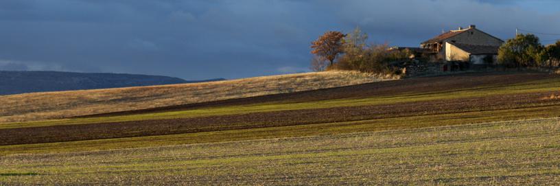 Campos al atardecer. Atienza, Guadalajara.