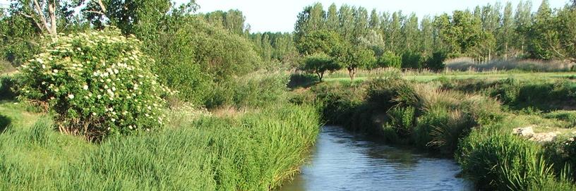 Báguena, Teruel.