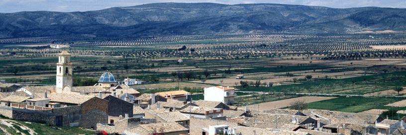 Cañada, Alicante.