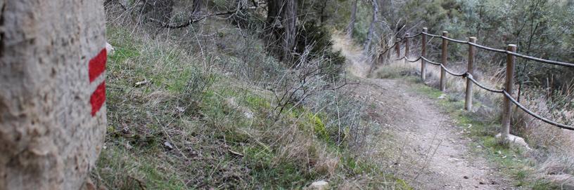 Castillejo de Robledo, Soria.