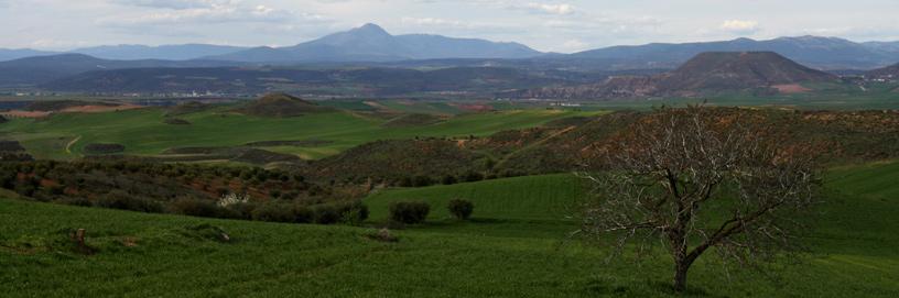 Ciruelas, Guadalajara.