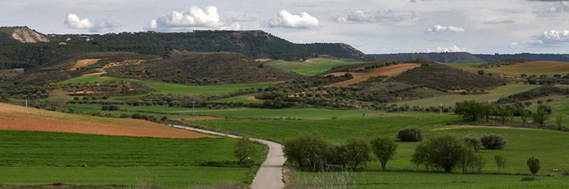 Ciruelas, Guadalajara.