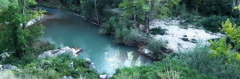 Remanso del río Mijares en Los Cantos, Castellón / ALC.