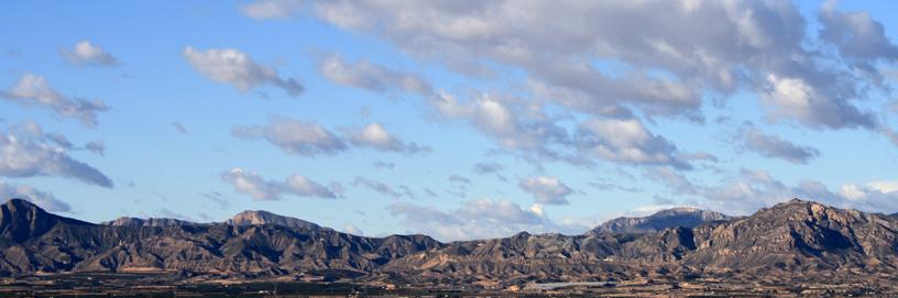 Cox, Alicante.