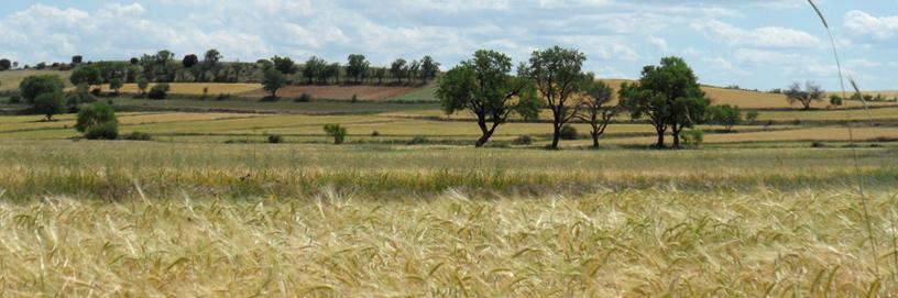 Cucalón, Teruel.