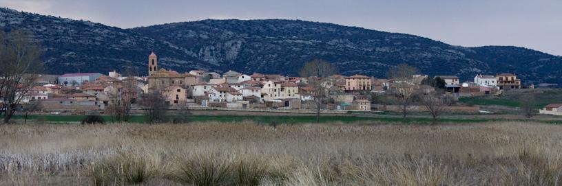 Gallocanta, Zaragoza.
