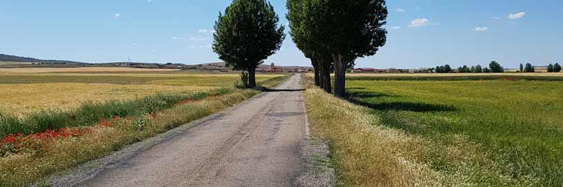 Carretera a Las Cuerlas, Zaragoza / ALC