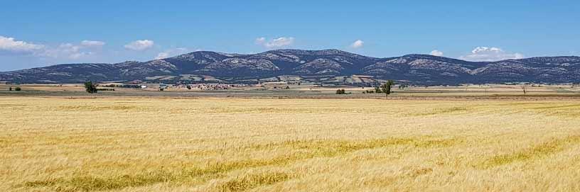 Paisaje. Las Cuerlas, Zaragoza / ALC.