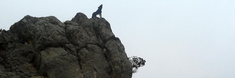 Huerta de Rey, Burgos. 