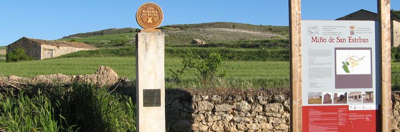 Miño de San Esteban, Soria.