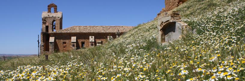 Monreal de Ariza, Zaragoza.