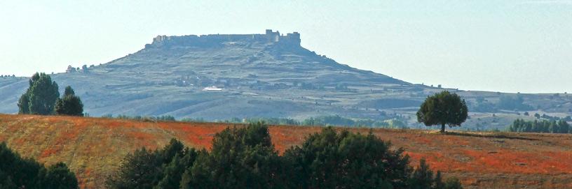 Morales, Soria.