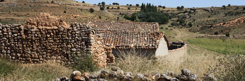 Paones, Soria.