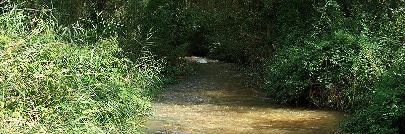 Pinilla de Jadraque, Guadalajara.