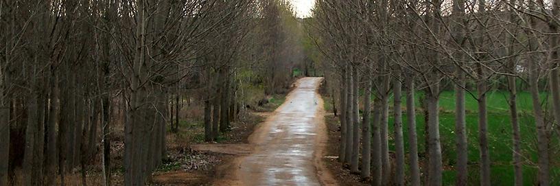 Quintanarraya, Burgos