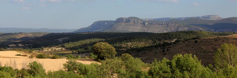 Quintanilla de las Viñas, Burgos