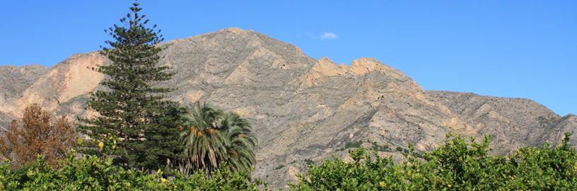 Redován, Alicante