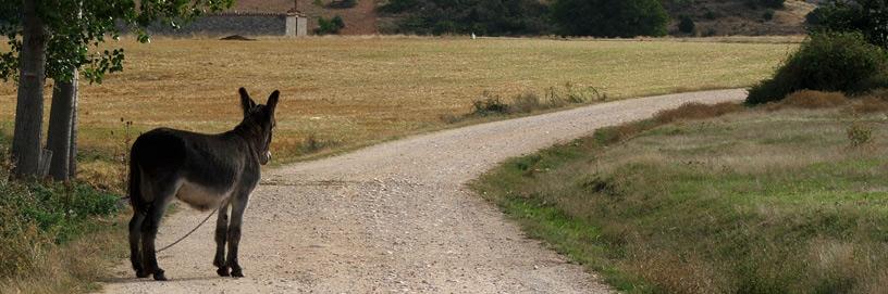 Retuerta, Burgos