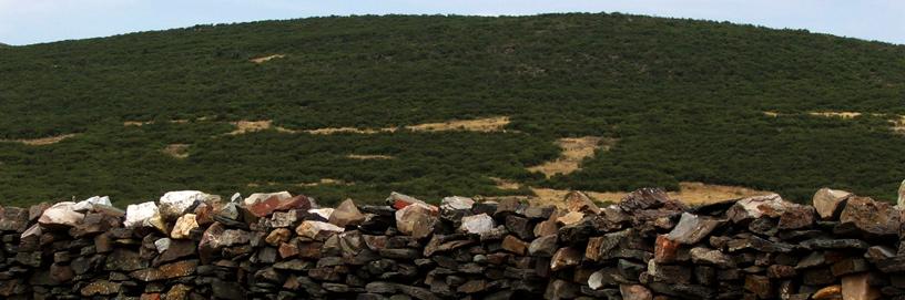 Robledo de Corpes, Guadalajara
