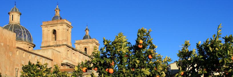 Sot de Ferrer, Castellón