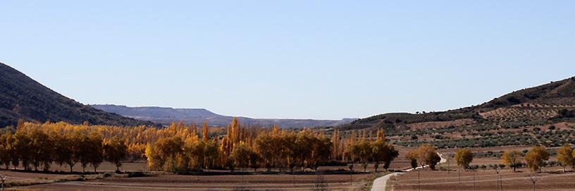 Utande, Guadalajara