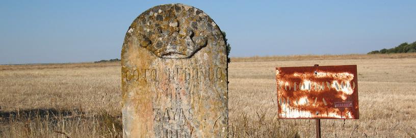 Zayas de Torre, Soria