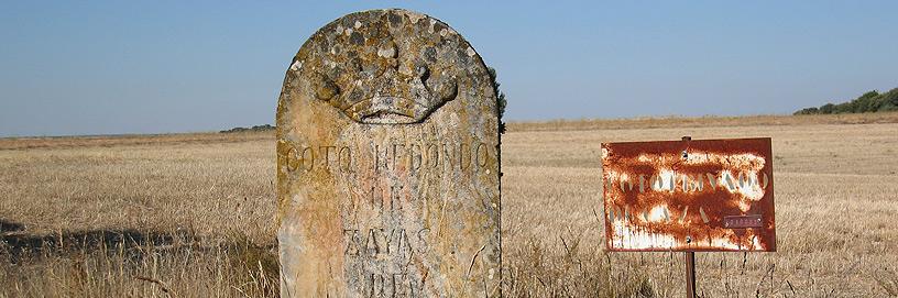 Zayas de Torre, Soria