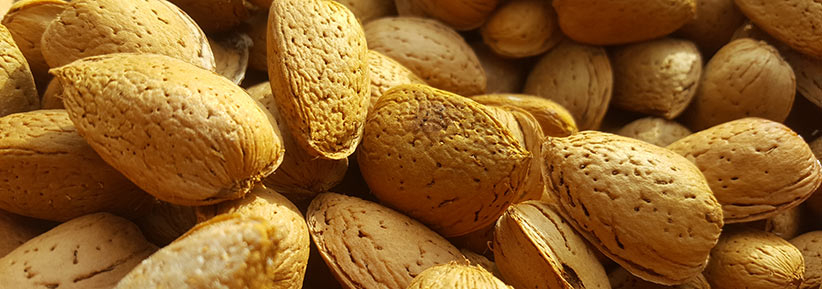 Gastro Almendras Gastro Almendras