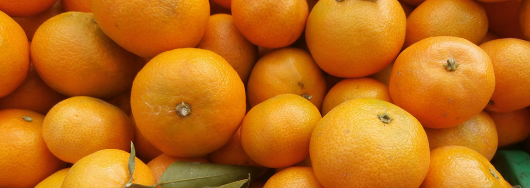 Gastro naranjas Gastro Naranjas
